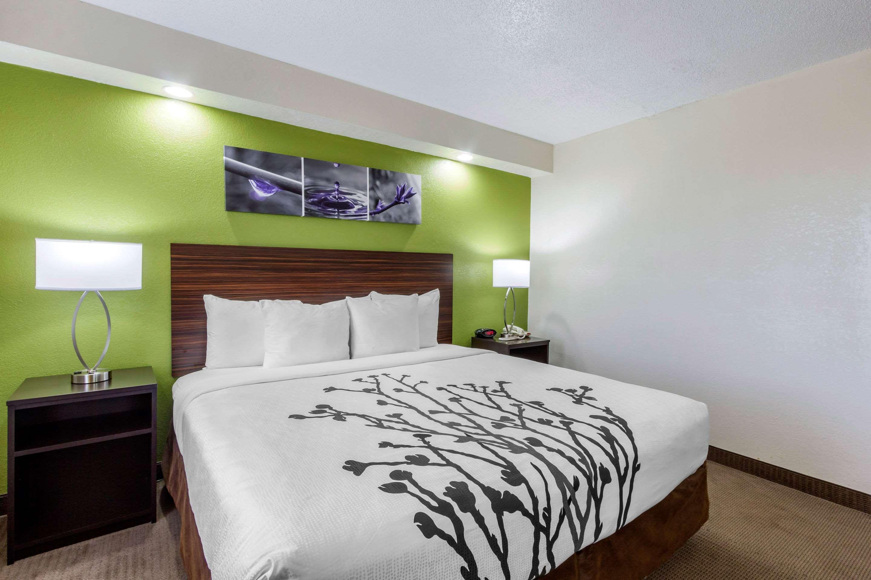 Sleep Inn Near Busch Gardens - Usf Temple Terrace Экстерьер фото