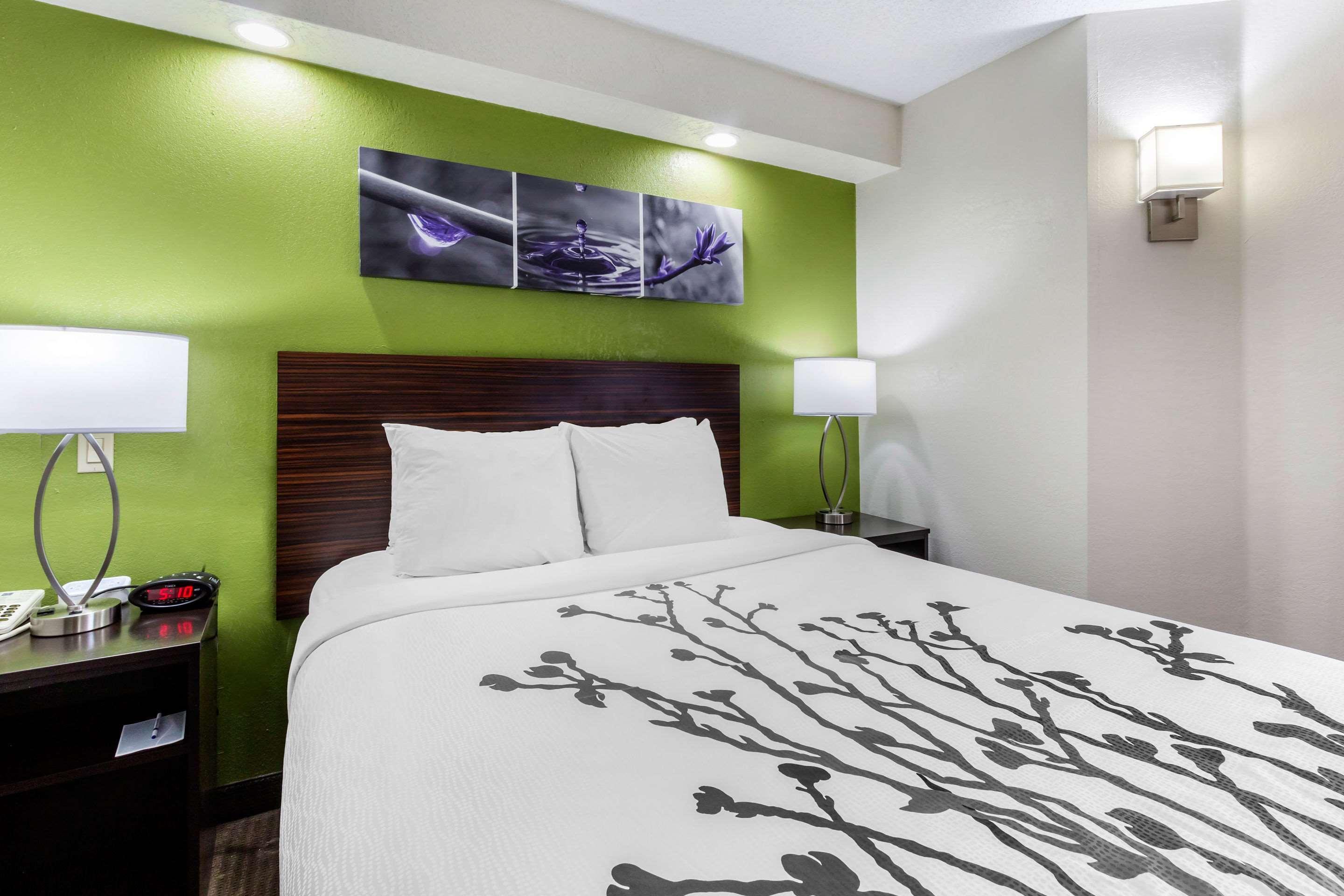 Sleep Inn Near Busch Gardens - Usf Temple Terrace Экстерьер фото