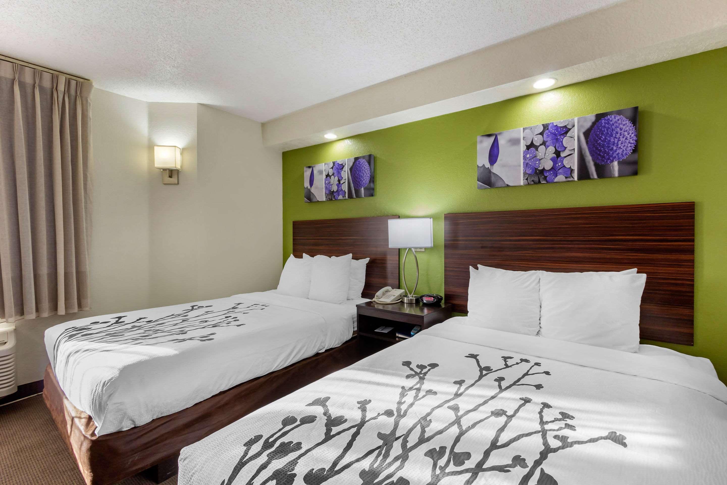 Sleep Inn Near Busch Gardens - Usf Temple Terrace Экстерьер фото